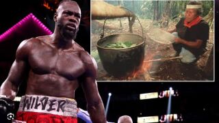 Отвя ми мозъка: Дрога от джунглата възхити Уайлдър