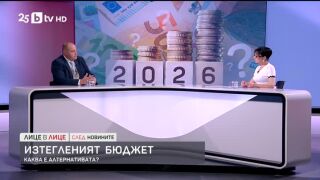 Снимка: Изтегленият бюджет: Каква е алтернативата?