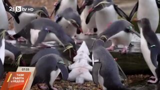 Снимка: Какво ще бъде времето днес?