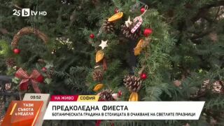 Снимка: Предколедна фиеста