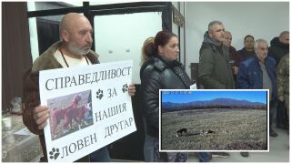 Снимка: Брутално убийство на ловно куче в Ботевградско, ловци настояват за най-тежкото наказание