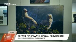 Снимка: Когато природата среща изкуството