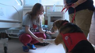 Снимка: Любов на четири лапи: Кучето Смайли дарява усмивки на децата в педиатрията. Доверява се, въпреки тежкото си минало