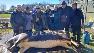 Няма мое, няма твое: Ветераните на Берое на... прасе 