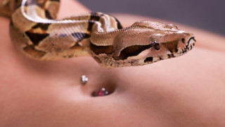 5-те най-странни СПА процедури в света