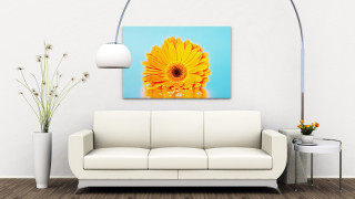 Как да съчетаем цветовете у дома  