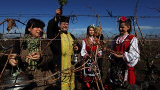 1 февруари: Кой има имен ден на Трифон Зарезан?