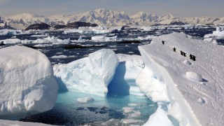 Вече наистина е критично! Морският лед около Антарктида силно намалява