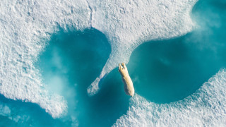 Най-вълнуващите въздушни снимки oт фотоконкурса на SkyPixel