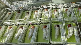 Снимка на деня: Бебетата в "Шейново" в нова премяна
