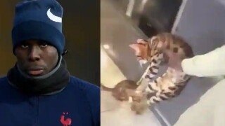 Възмутително! Играч от Висшата лига рита котката си като топка (ВИДЕО)