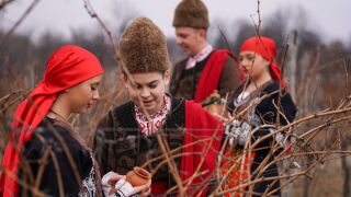 Какво символизира ритуалното зарязване на лозата? (ВИДЕО)