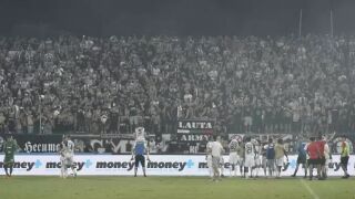 Феновете на 