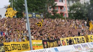 Феновете на 