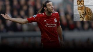 Даде 1000 паунда за екзотична котка, разкара я за две седмици