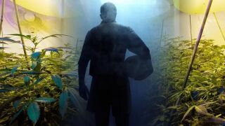 Ферма за канабис в дома на звезда от Висшата лига