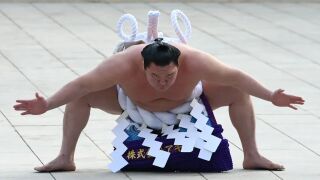 Биеше ни по тестисите: Грозен скандал в сумото