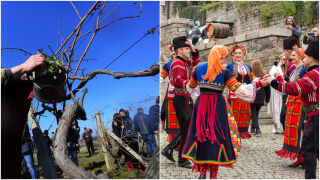 Трифон Зарезан на 1 февруари: Традиции и обичаи, които носят здраве (СНИМКИ)