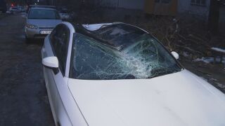 Снимка: „Истинско чудо е, че няма жертви“: Опасно дърво, игнорирано с години, се стовари върху коли в Пловдив