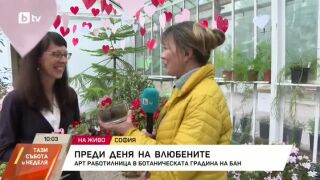 Снимка: Арт работилница в Ботаническата градина на БАН