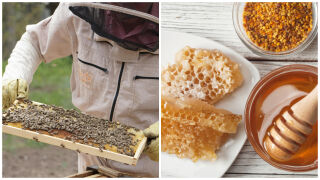 10 февруари: Денят на пчеларя - сладка грижа за кожата, косата и природата