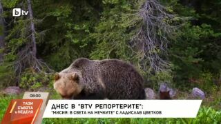 Снимка: Днес в bTV Репортерите: "Мисия: В света на мечките"