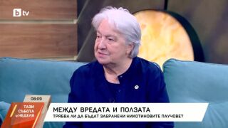 Снимка: Да бъдат ли забранени никотиновите паучове?