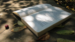 Учи и се лекувай