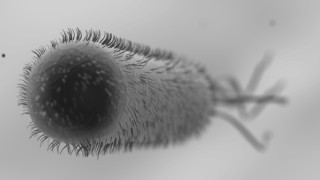 Развъдниците на бактерии в дома ви – Част 1