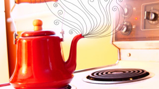 С клонка от борче срещу грип