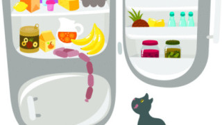 Кутиите за съхранение на храна