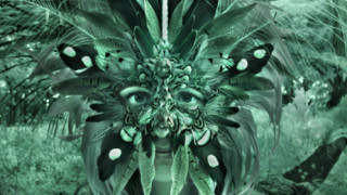 Кой съм аз? Защо съм тук? 