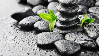 "Факирът" на индийската езотерика