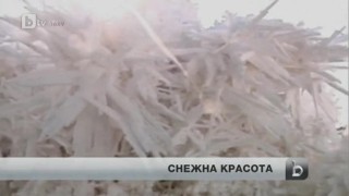 Розов кварц за любов и емоционално изцеление (СНИМКИ+ВИДЕО)