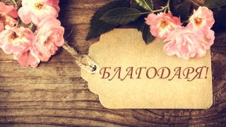11 януари - Световен ден на думата "Благодаря". Лесна практика за повече щастие 