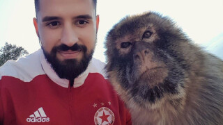 Футболистите на ЦСКА при маймуните в Гибралтар (СНИМКИ)