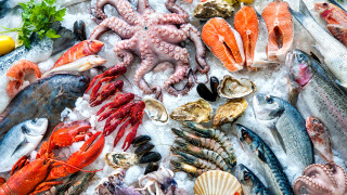 Морските продукти – полезни?