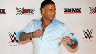 Тийм Вийзе – от футбола, през кеча до световната титла в дартса