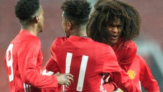 Феновете на 