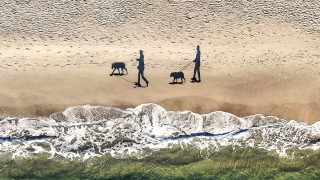 Най-добрите снимки с дрон във фотоконкурса на Dronestagram