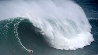 Красотата на спорта в един кадър (ГАЛЕРИЯ)