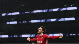 41 дни по-късно: 