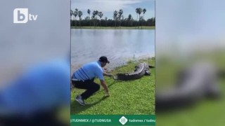 Стоичков хвана алигатор за опашката (ВИДЕО)
