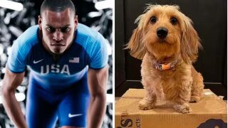 Шампион ползвал една спринцовка с... кучето си