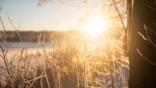 Снимка: Проф. Георги Рачев: Сравнително топъл и с нормални валежи декември, без сняг поне до 8-ми