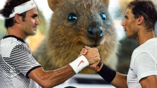 Животното, с което тенис звездите мечтаят да се снимат (ВИДЕО)