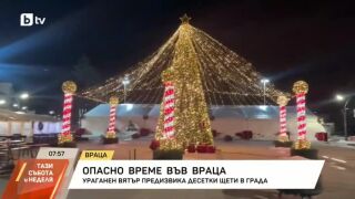 Снимка: Ураганен вятър във Враца: какви са пораженията?
