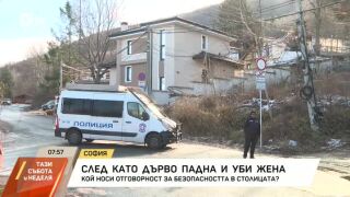 Снимка: Дърво падна върху автомобил и уби жена