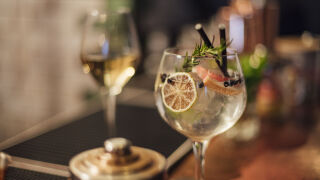 Специалисти твърдят, че джин с тоник е най-здравословната акохолна напитка (ВИДЕО)