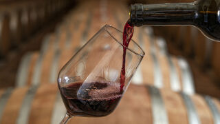 Винени гадания: Какво предсказва виното за годината? (ВИДЕО)